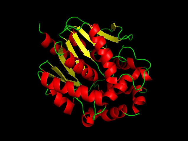 Haloalkane